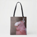 Search for majors bags Leadbeater's cockatoo