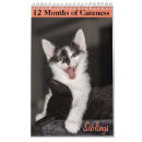 Search for 12 month calendars Cat