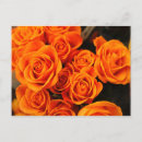 Search for orange blossoms postcards Floral