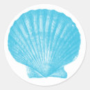Search for scallop shells stickers Seashells