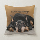 Recherche de purebreed Dogs