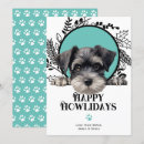 Recherche de schnauzer christmas cards Chien