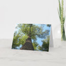 Recherche de le kentucky photographie Arbres