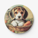 Search for beagle plates Cute