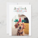 Search for father christmas cards Modern