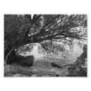 Search for black and white tree silhouette art Landscape