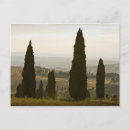 Search for rolling postcards Outdoors