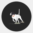 Search for bird dog stickers Hunting