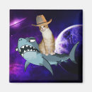 Search for tabby cards magnets Funny