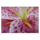 Recherche de dynamique planches à découper Jaune