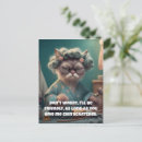 Recherche de catlover Catlady