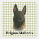 Search for malinois stickers Belgian