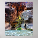 Search for zion national park posters Utah