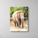 Search for elephant painting canvas prints Mammal