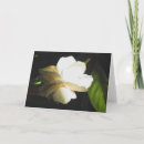 Search for fragrant cards Flower