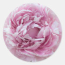Search for pleasing stickers Pink