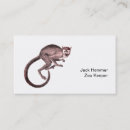 Recherche de singes cartes visite Animal sauvage