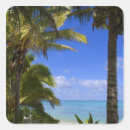 Recherche de paradis autocollants Océan