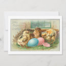 Search for vintage egg easter cards Chicks