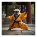 Search for kung fu posters Shaolin