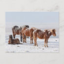 Recherche de islandais cartes postales Neige