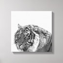 Search for black white tiger canvas prints Animals