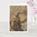 Search for dragonfly mothers day cards Dragonflies