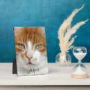 Search for cat plaques Minimalist