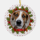 Recherche de pet memorials Chien