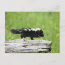 Recherche de striped cartes postales Cute