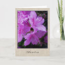 Search for azalea cards Flowers