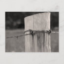 Search for wire postcards Ranch