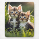 Search for cuddly mousepads Adorable