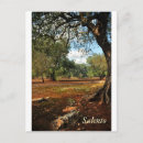 Search for sunnie postcards Beautiful