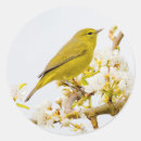 Search for warbler stickers Yellow