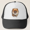 Search for pomeranian hats Animal
