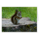 Recherche de raie cartes postales Mignon