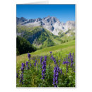 Search for foreground Outdoors