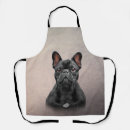 Recherche de french bulldog tabliers Mignon