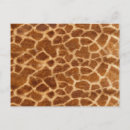 Search for skin patterns postcards African