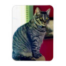 Recherche de cat magnets Pour elle
