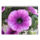 Search for botanical calendars Colourful