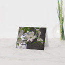 Recherche de cornus cartes postales Cornouiller