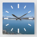 Search for new zealand clocks Nature