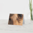 Search for equine holiday cards Animals