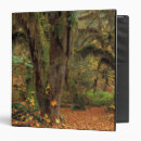 Search for moss binders Foliage