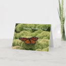 Search for butterfly mothers day cards Garden