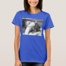 Recherche de ricane Chats