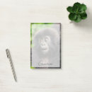 Search for rainforest cards invites Primate