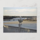 Recherche de mouette cartes postales Paysage